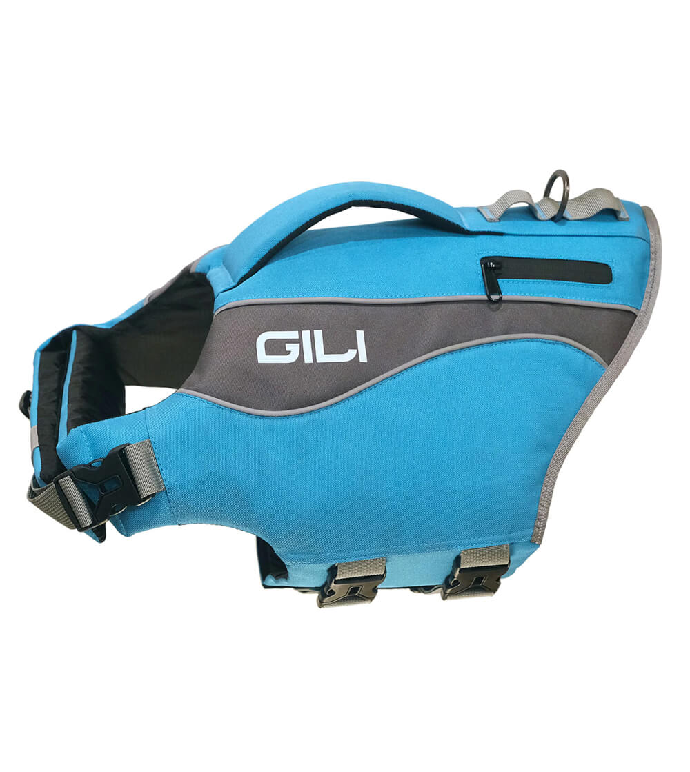 Blue gili dog life jacket