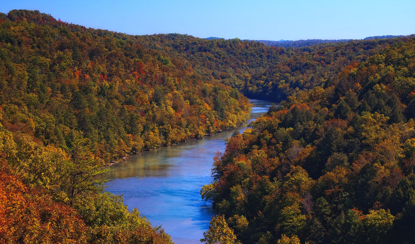 Bunte Bäume in der Nähe von Cumberland River, Nashville