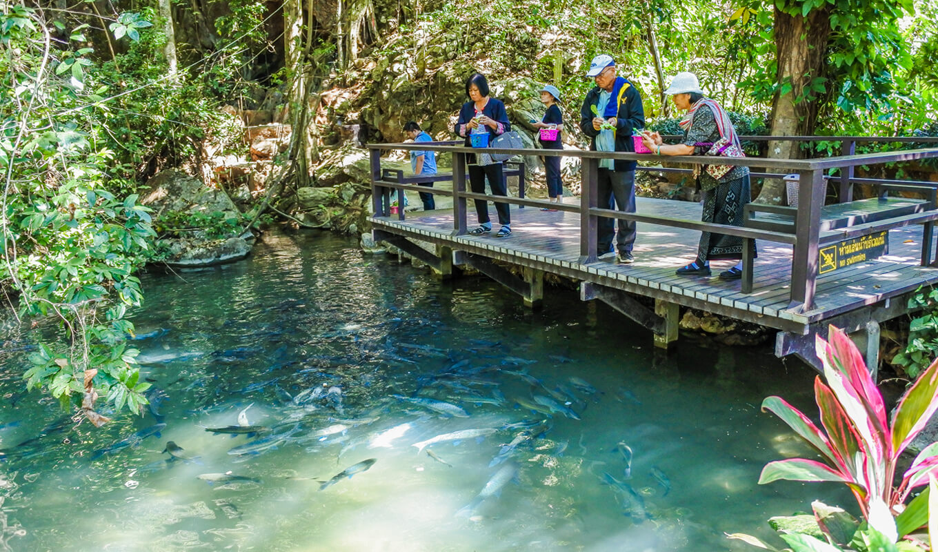 People feeding a fish at Blue springs state park