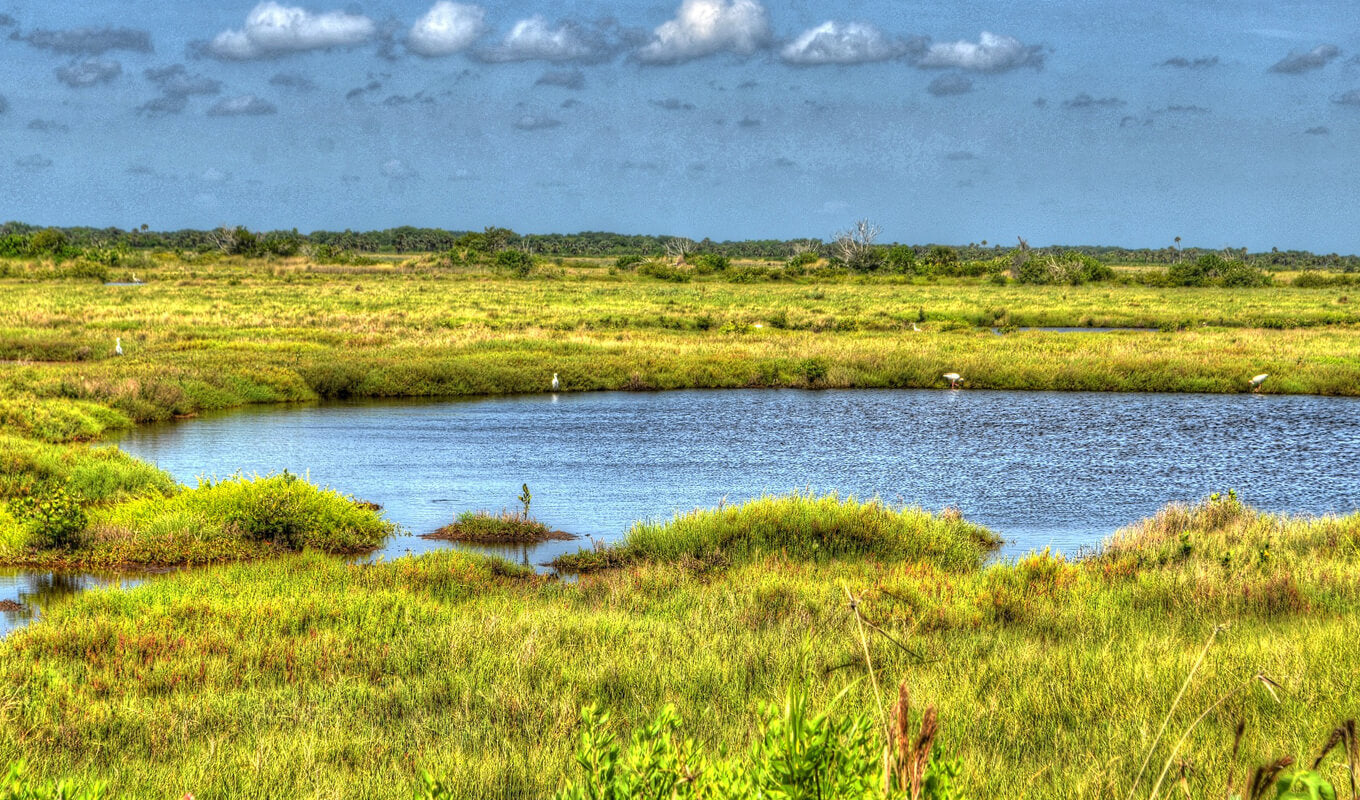 Mosquito lagoon