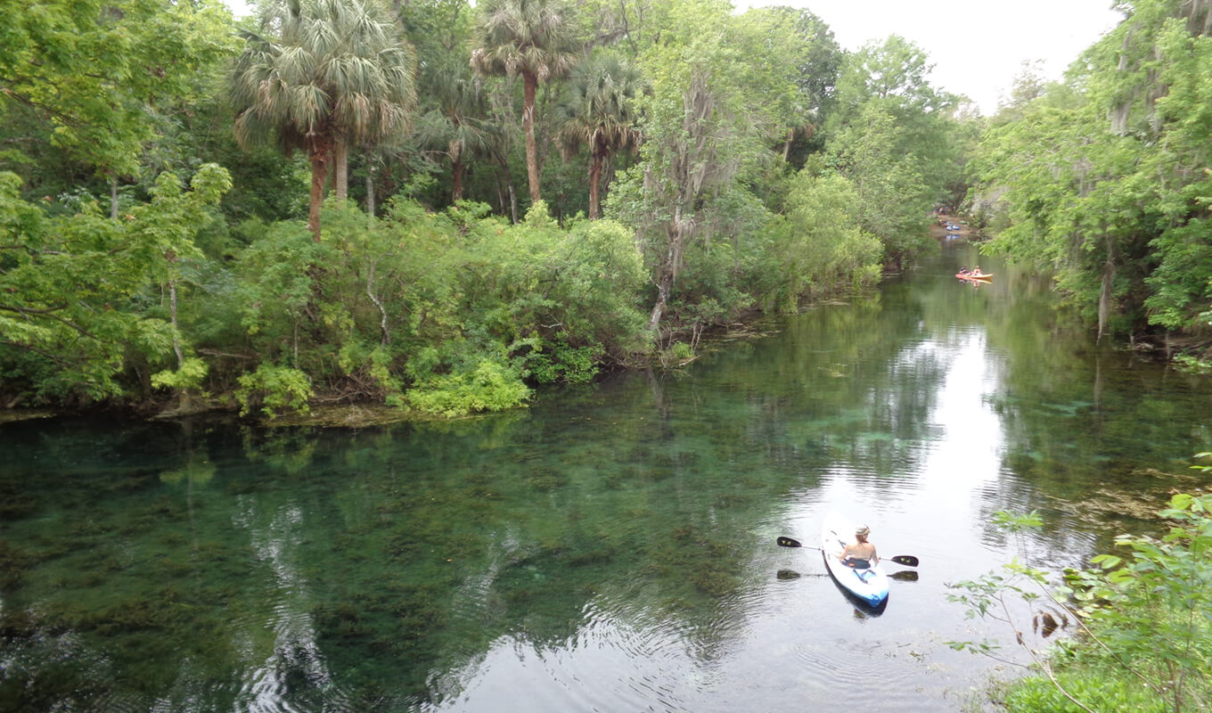 Woman kayaking on a Silver springs state park