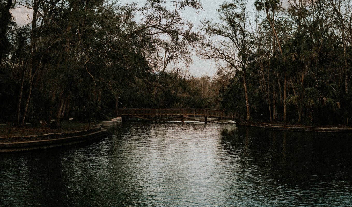 Staatspark Wekiwa Springs