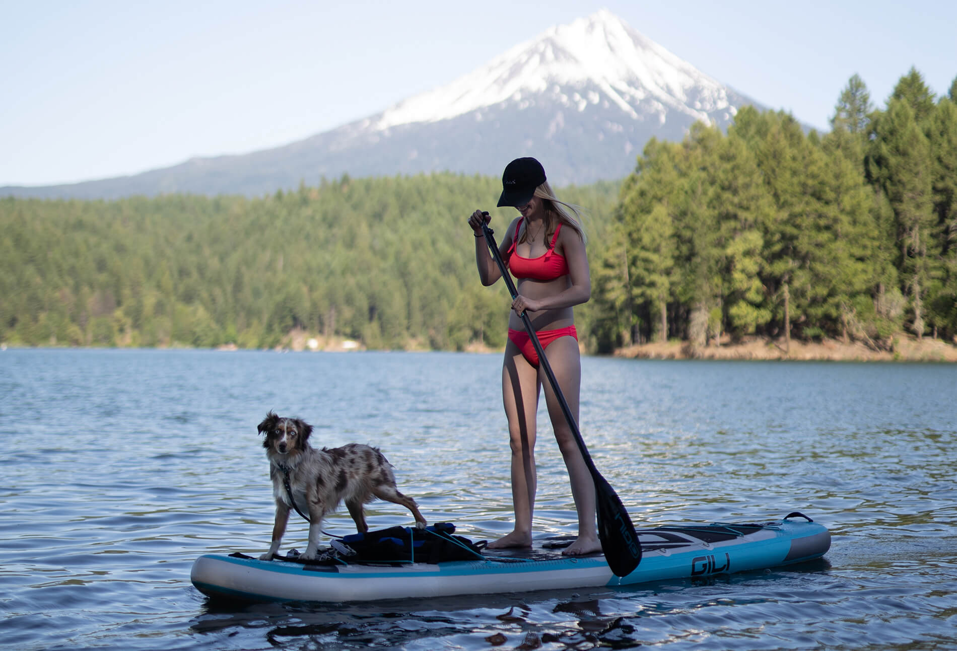 Paddle Boarding mit Ihrem Hund