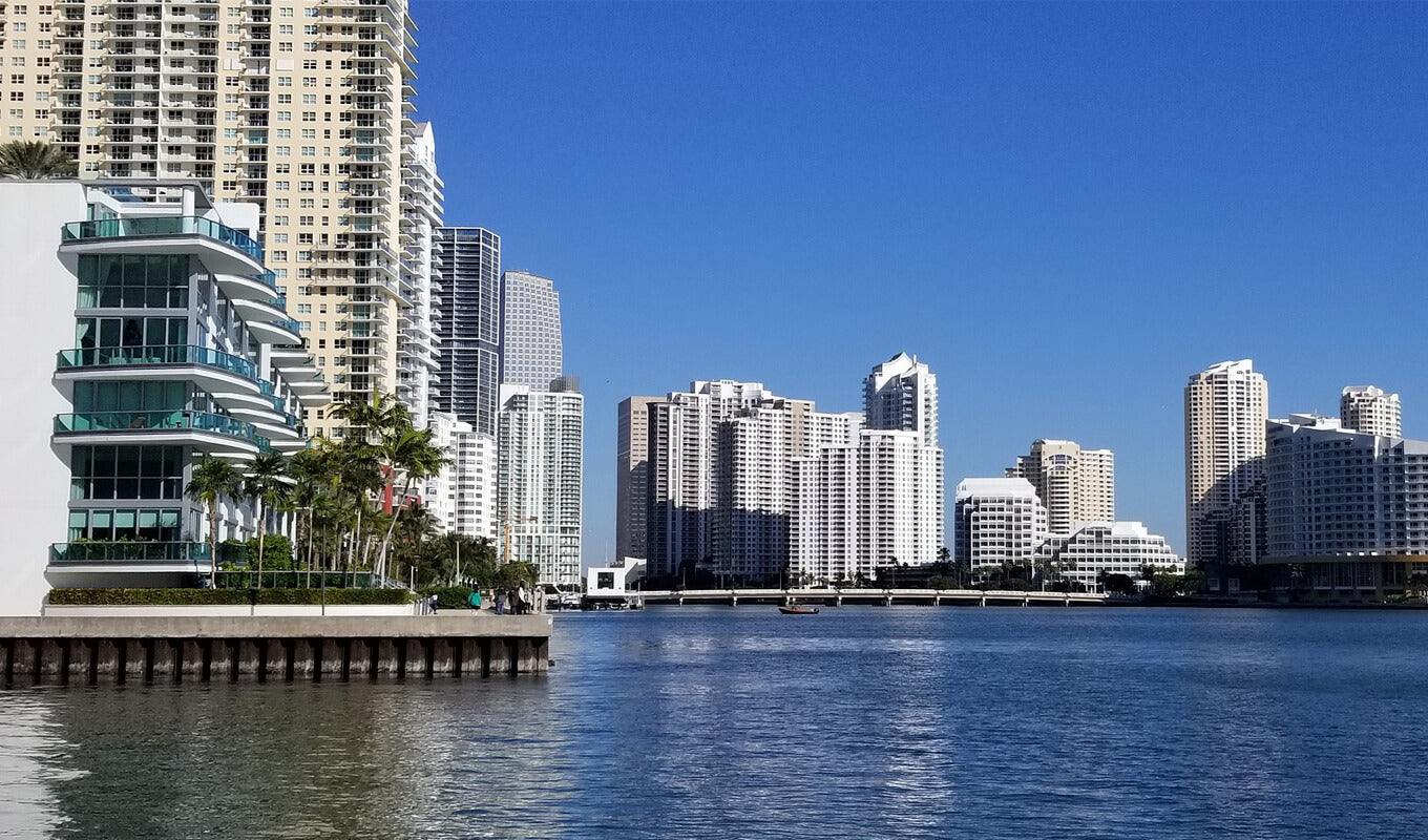 Buildings near the Biscayne bay