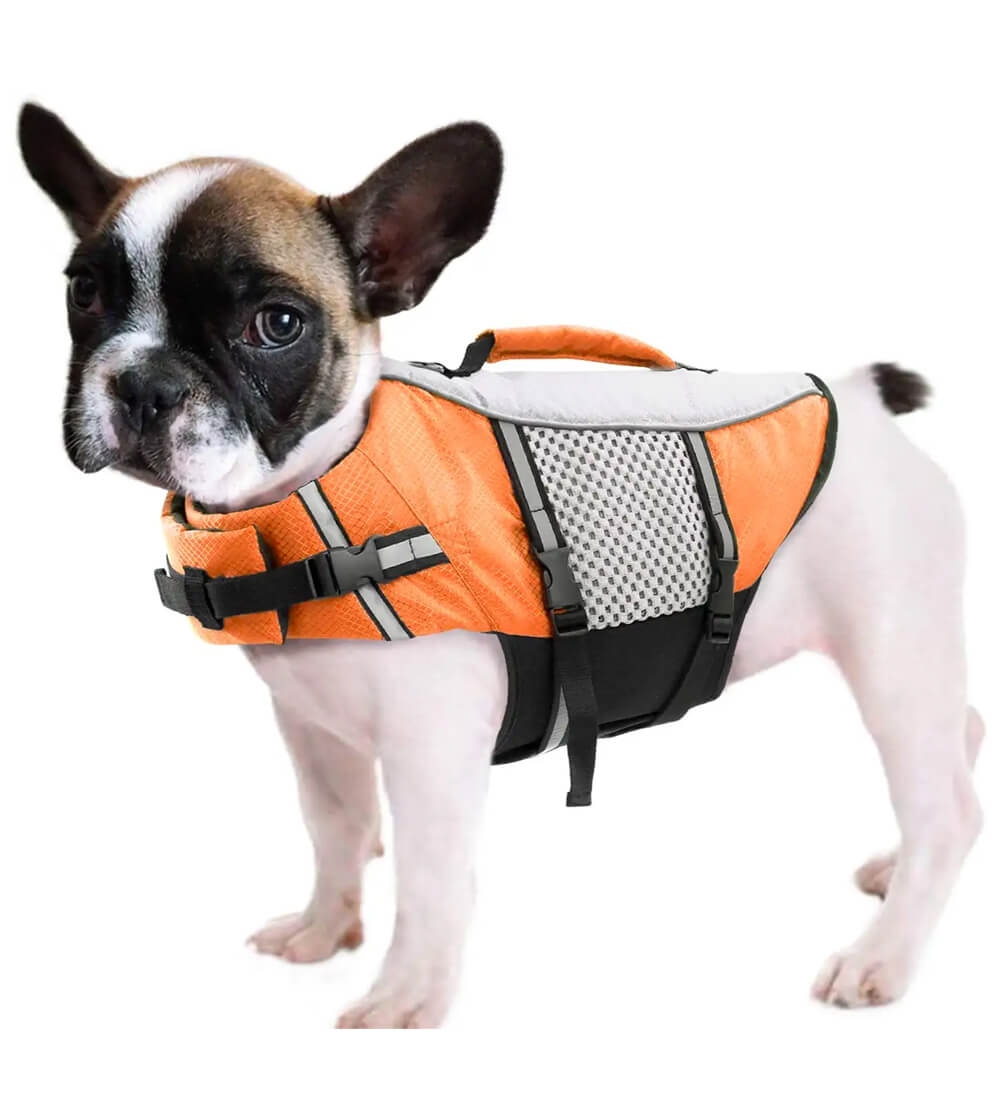 Queenmore dog life jacket swimming vest with leash ring orange