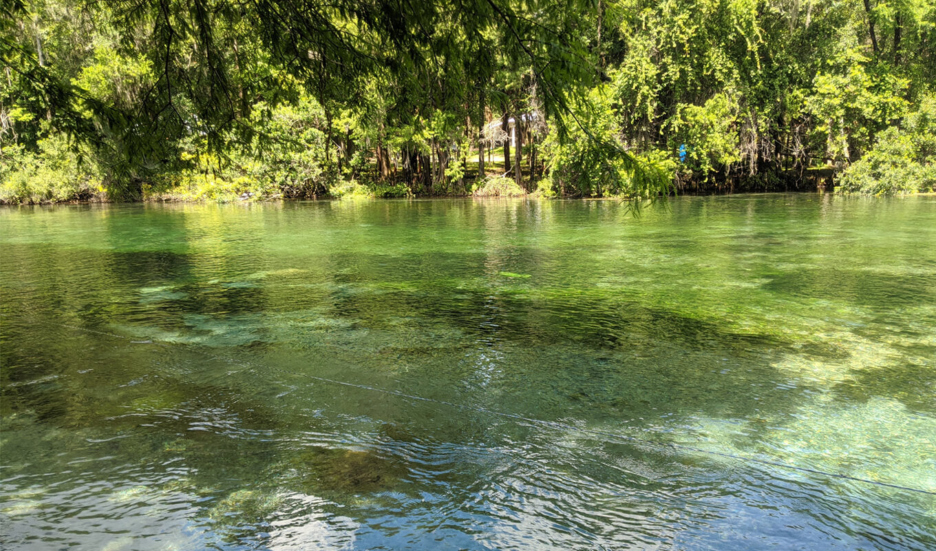 Unberührtes klares Wasser des Rainbow River