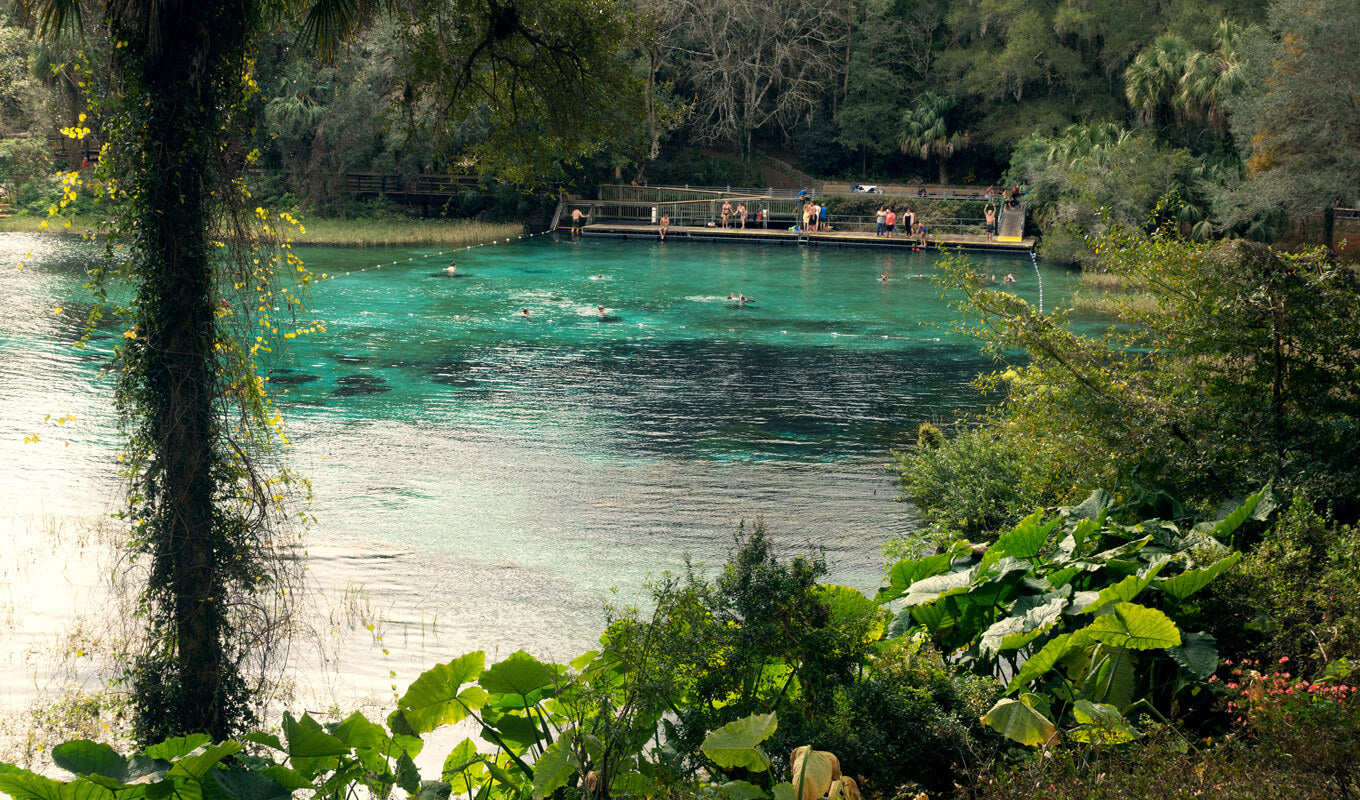 Pristine water of Rainbow river