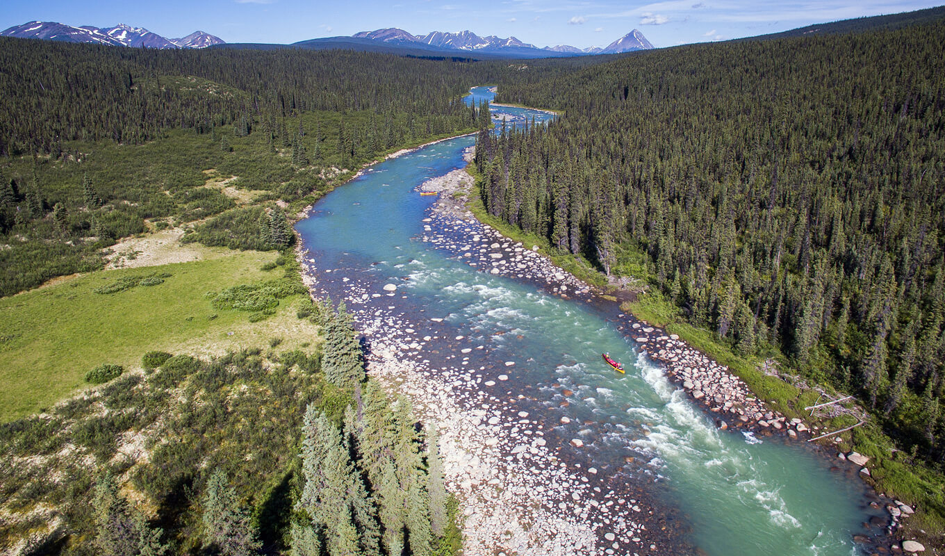 River surrounded by trees