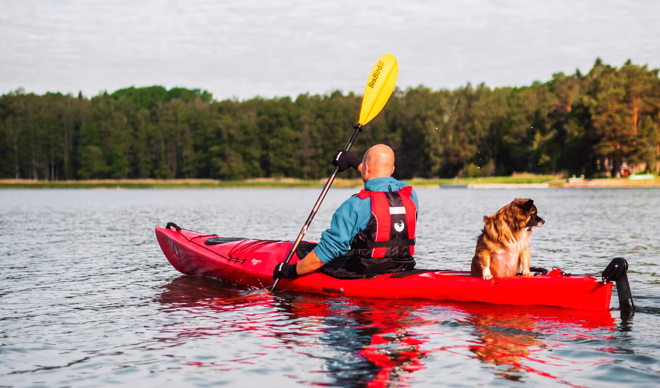 Man with his dog on a red kayak