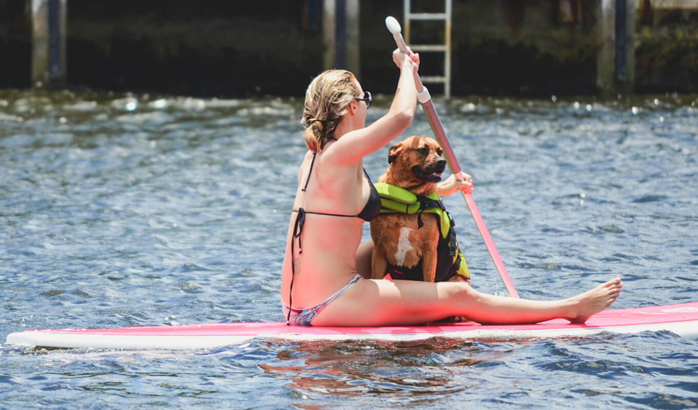 Woman paddle boarding with dog on a soft top paddle board