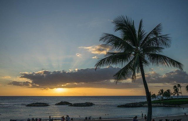 Paddling Boarding Hawaii