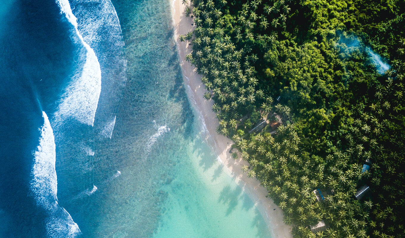 Aerial view of a beach