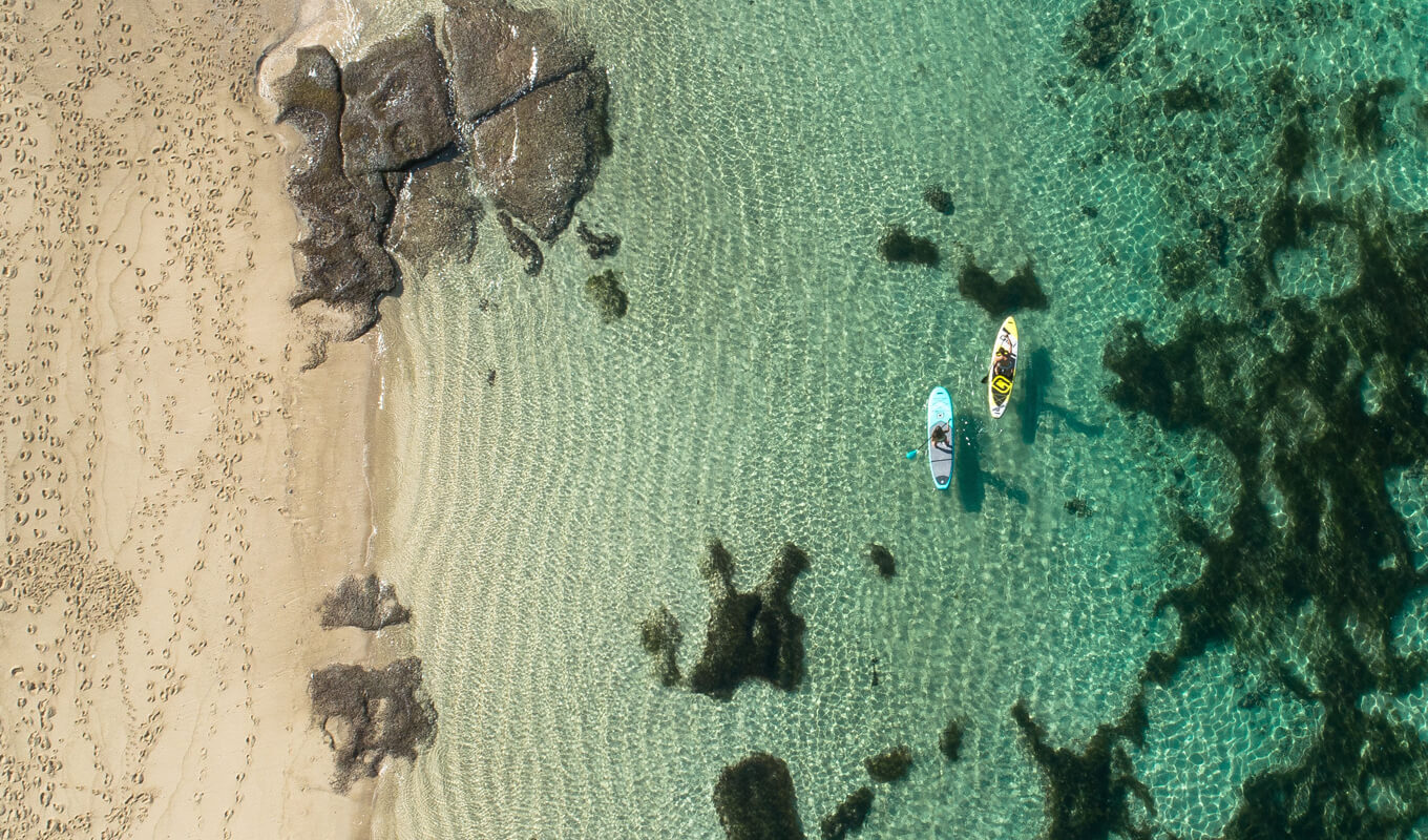 Ocean Paddle Boarding