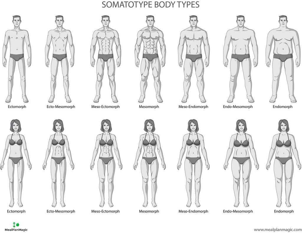 Featured image of post Body Types Muscular Woman Drawing Reference