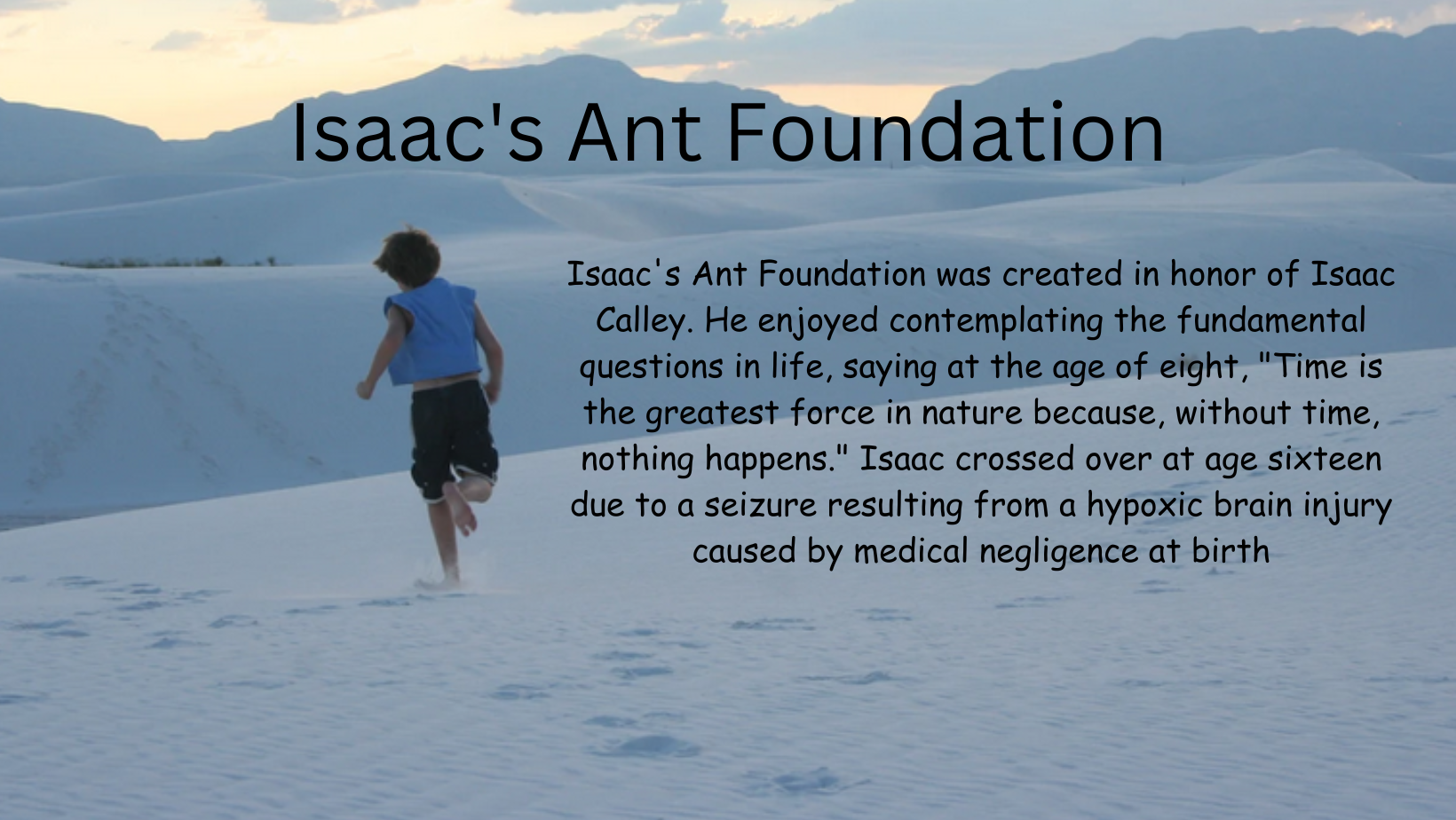 Isaac's Ant Foundation was created in honor of Isaac Calley. He enjoyed contemplating the fundamental questions in life, saying at the age of eight, "Time is the greatest force in nature because, without time, nothing happens." Isaac crossed over at age sixteen due to a seizure resulting from a hypoxic brain injury caused by medical negligence at birth.