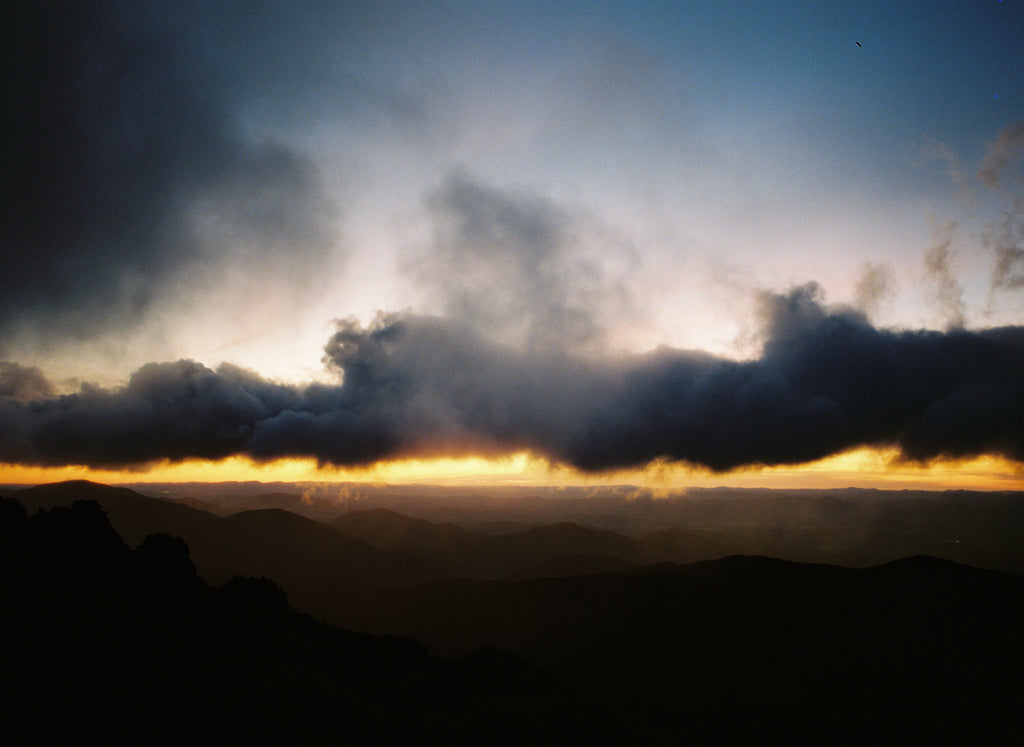 Morning sunrise at Powell Hutt. Picture taken by Abigail Legg with Kodak Portra 800