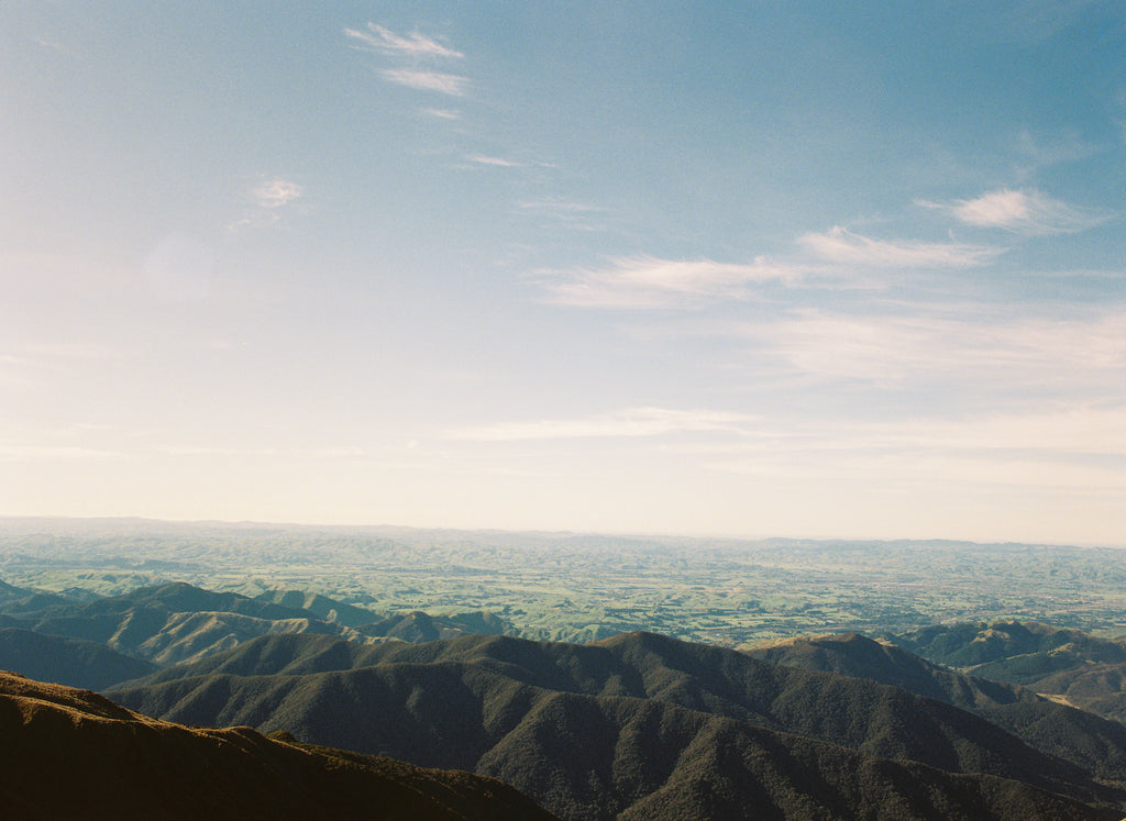 On the ridgeline of Mt Holdsworth. Picture taken by Abigail Legg on Kodak Portra 800