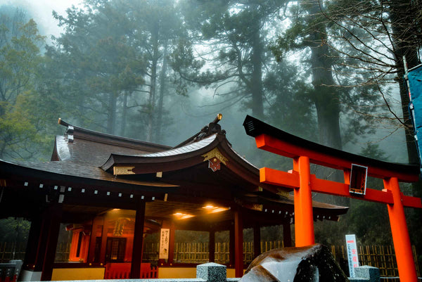 Tips for Travelling in Hakone