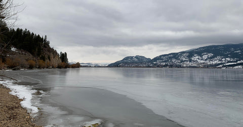 The photo looks down the lake shore of Shuswap Lake towards Copper Island. The photo is taken in winter, there is a bit of snow on the shore and the edges of the lake are frozen. The sky is overcast.