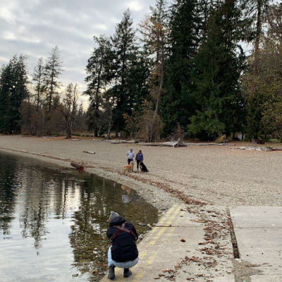 Photographer shooting a couple walking on the beach at Herald Park at Shuswap Lake