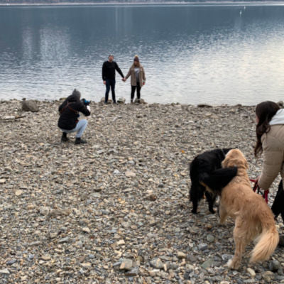 Kids playing with a dog while a photographer takes pictures of a couple of the beach at Shuswap Lake