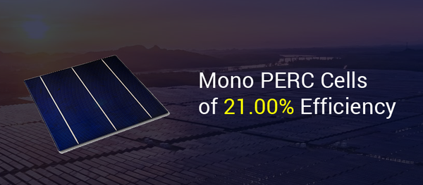 solar mono perc cells