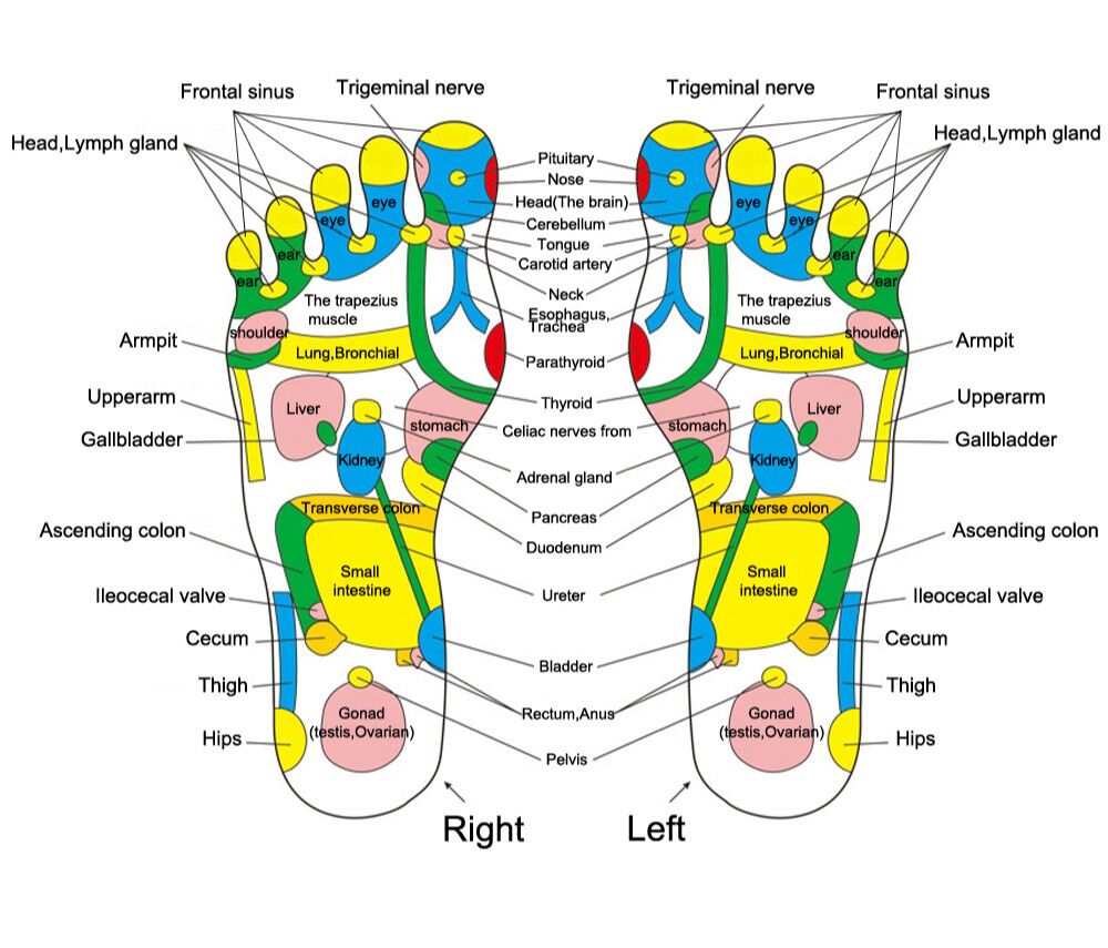 Foot Reflexology Oil Usage Chart