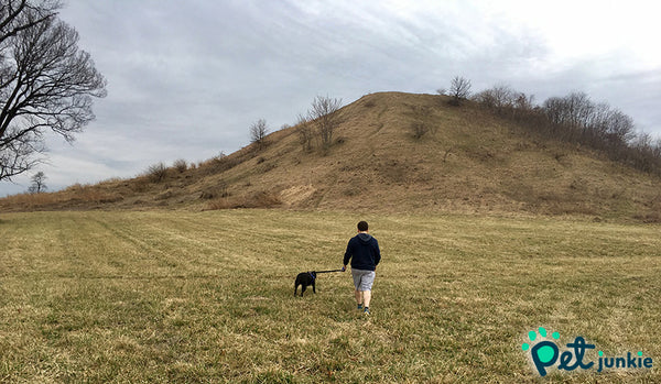 Cahokia Mounds State Historic Site