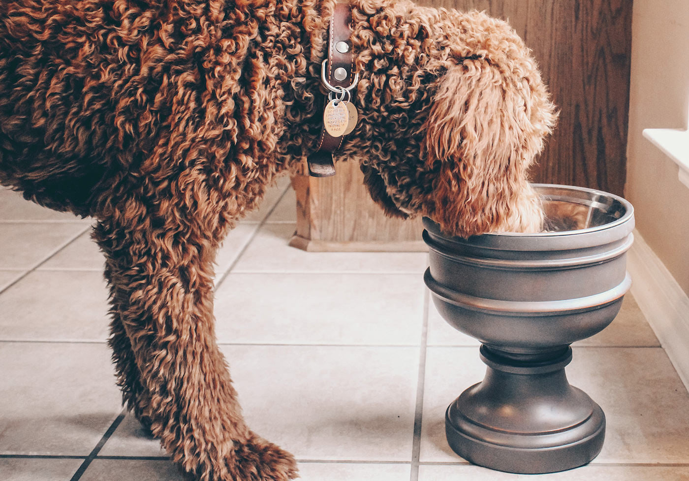 Hexagon GG pet bowl in bege and ebony Supreme