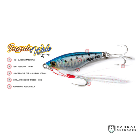 Molix Jugulo Wide Casting Jig, Size: 7cm, 40g, मछली पकड़ने का चारा,  फिशिंग ल्यूर - Cabral Outdoors, Udupi