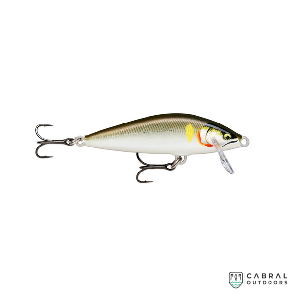 Rapala Deep Tail Dancer Hard Lure, Size: 11cm, 22g