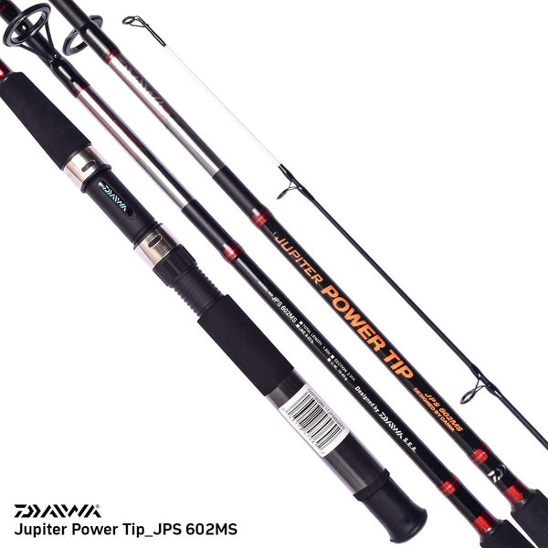 Daiwa Beefstick Surf 7Ft-9Ft Spinning Rod, Cabral Outdoors