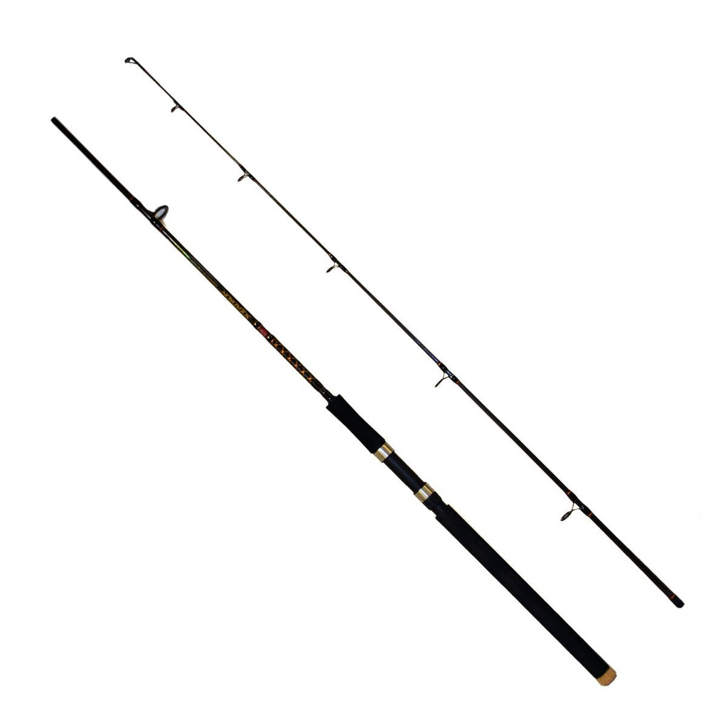 Fishing Rod 8ft Seaboat-5