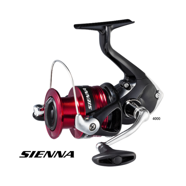 A great value reel for coarse anglers! - Shimano Catana 4000HG - First  Look! 