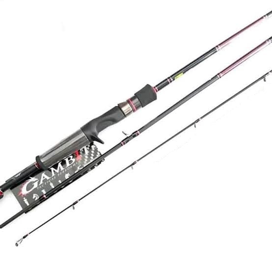 Abu Garcia 6'6” Veritas Casting Fishing Rod, 2 Piece Rod Outdoor Sports  Fishing