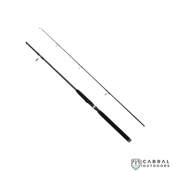 Daiwa Shore Jigging Rod X 100MH, Cabral Outdoors