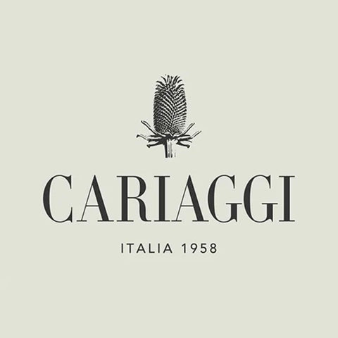 CARIAGGI