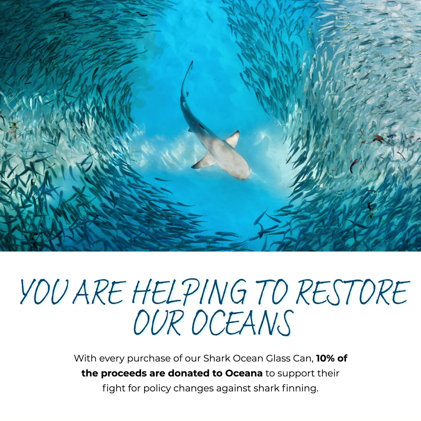 Shark Ocean Glass Can - sweetsherriloudesigns - 10% of proceeds donated to ocean conservation
