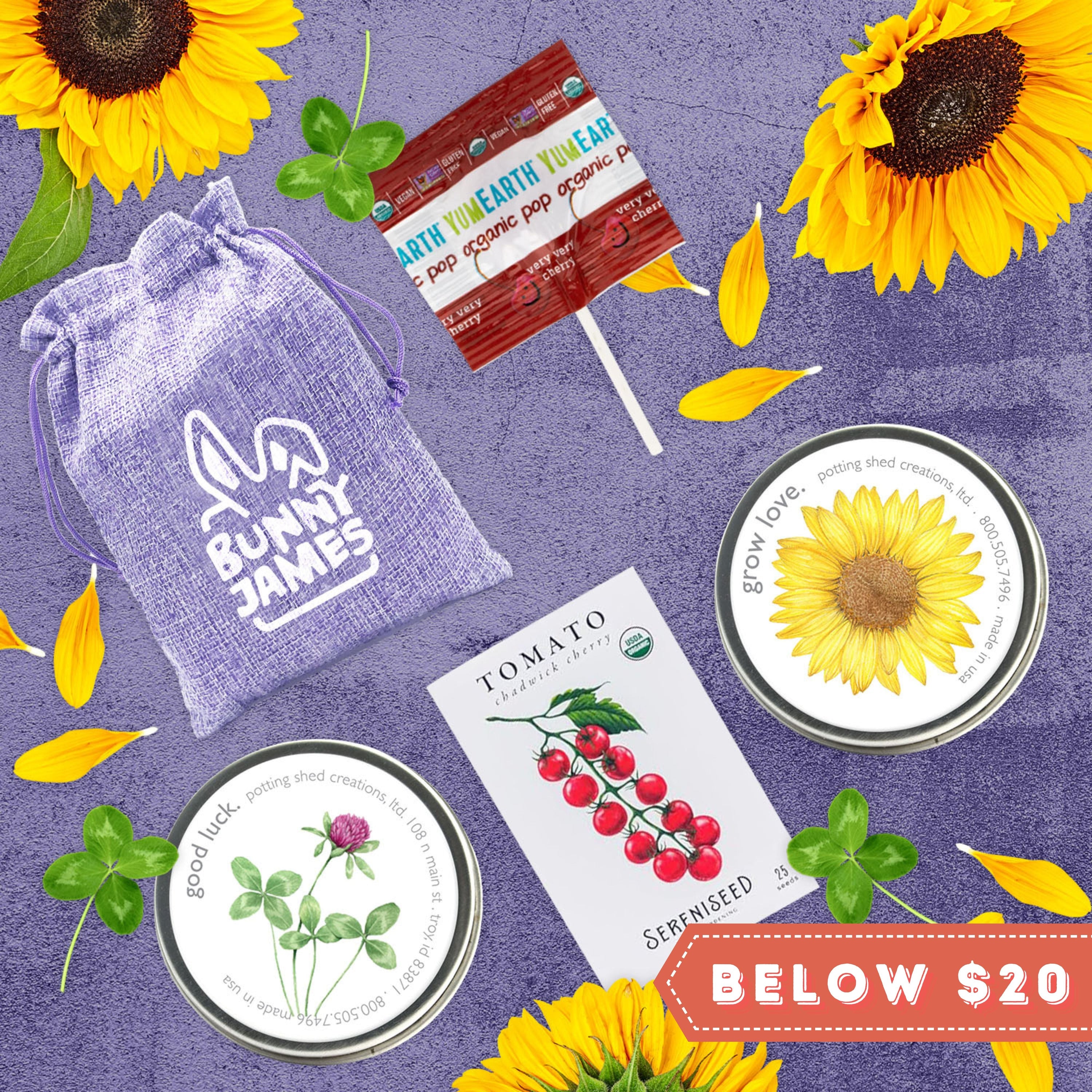 Plants and Flowers Gift Below 20 | Bunny James Corporate Gifts