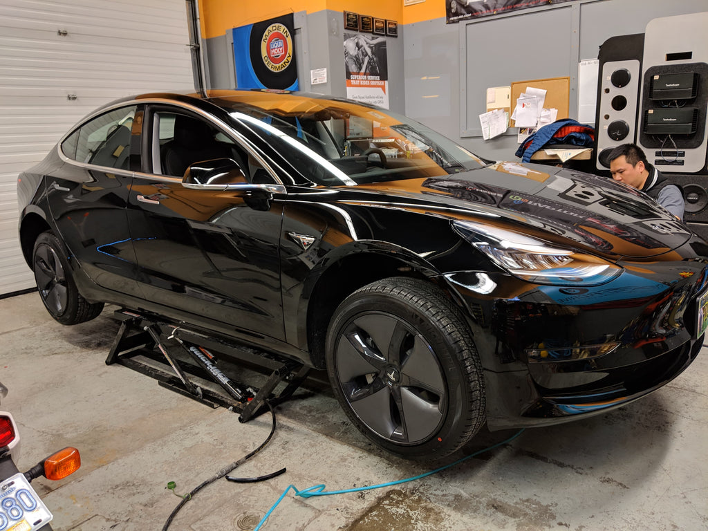 Tesla model 3 alloygator