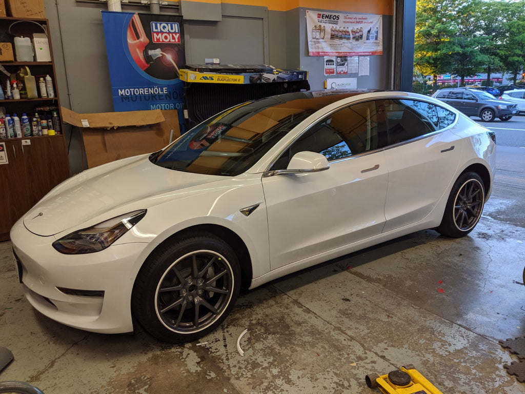 tesla model 3 white alloygator