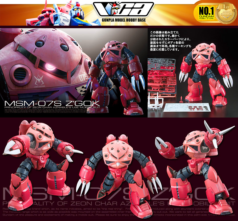 Bandai Real Grade 1/144 RG MSM-07S Z'Gok 塑料模型玩具 VCA 高达新加坡