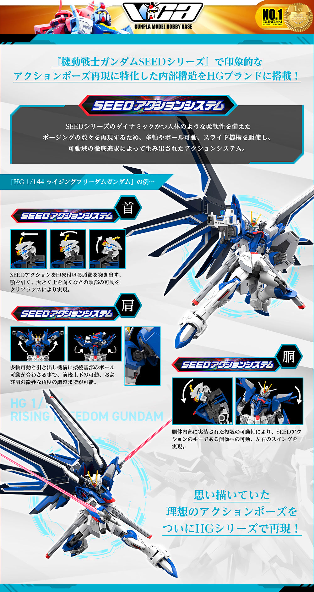 Bandai Gunpla High Grade HG Rising Freedom Gundam Plastic Model Toy VCA Singapore