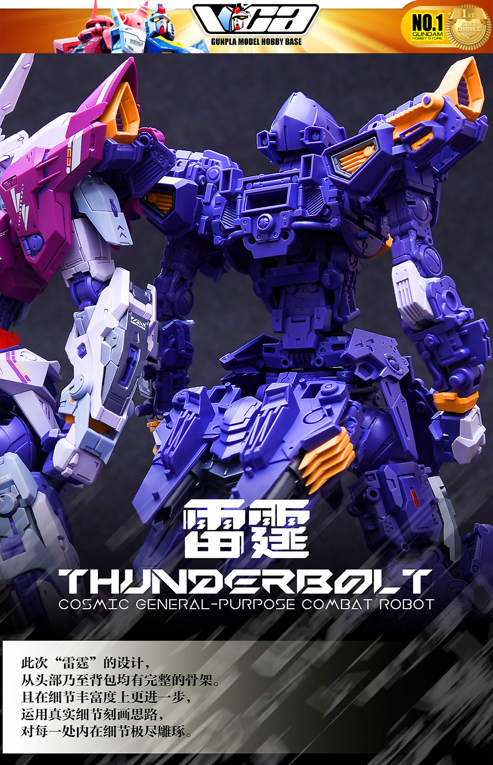 Infinite Dimension 无限新星 InEra+ x RMD Thunderbolt 雷霆 Plastic Model Toy VCA Gundam Singapore