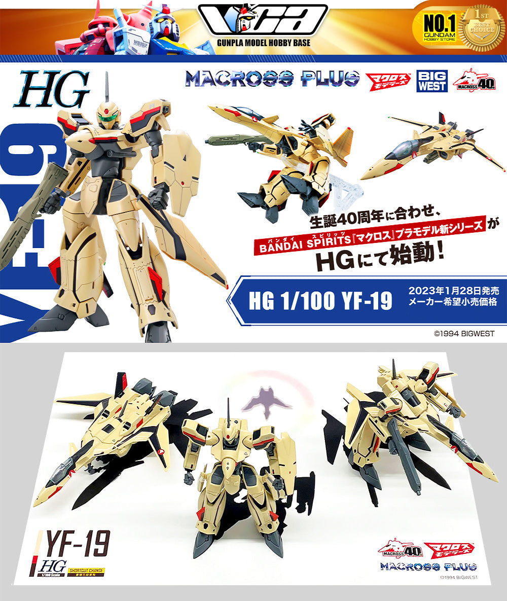 Bandai 高级超时空要塞 Plus 1/100 HG YF-19 塑料模型动作玩具 VCA 高达新加坡