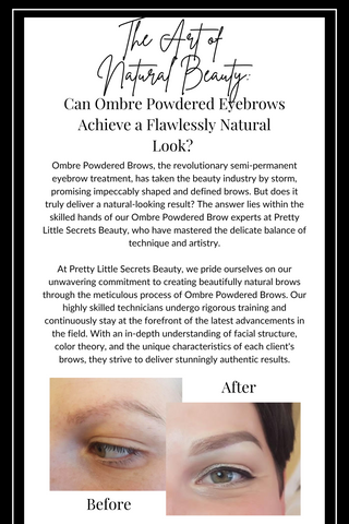 Pretty Little Secrets Beauty Toronto Blog Post ON Can Ombre Powdered Brows Look Natural