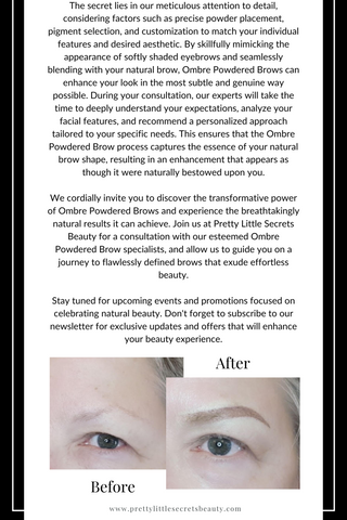 Pretty Little Secrets Beauty Toronto Blog Post ON Can Ombre Powdered Brows Look Natural