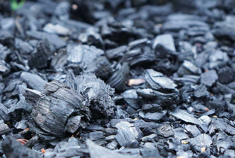 Charcoal is the answer to your oil control woes!