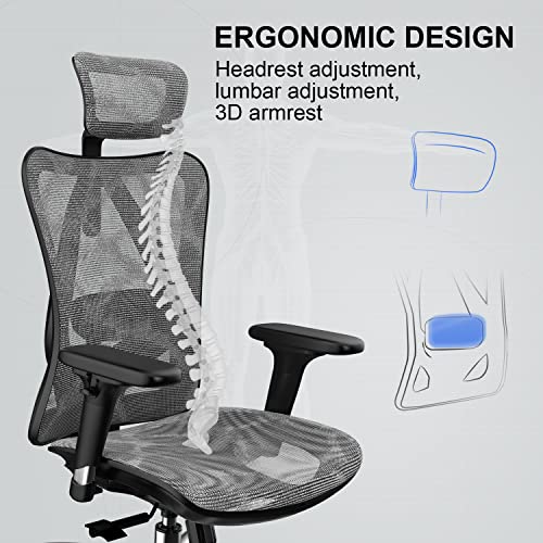 SIHOO High-Back Ergonomic Office Chair, Mesh Desk Chair with Adjustable 3D  Armrest, Lumbar Support and Headrest, for Home & Office, Black