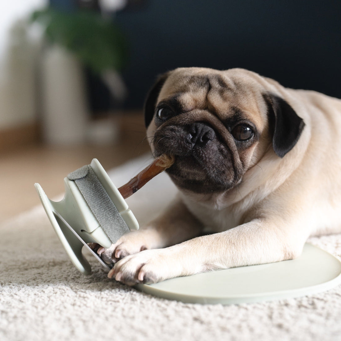 Lunoji - CHEWDEN Trove - Frozen Treat Holder